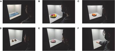Experimental setting and protocol impact human colour preference assessment under multiple white light sources